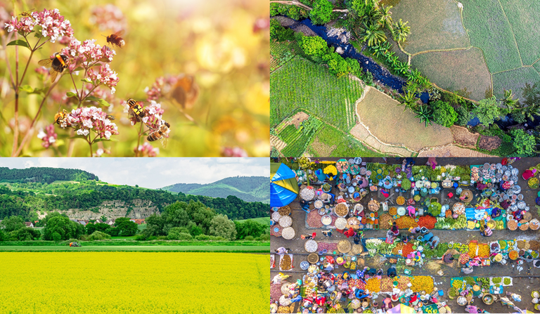 Biodiversity, Climate, Agriculture and Food – An Area of Conflict and Action: Cross-sectoral Dialogue Event